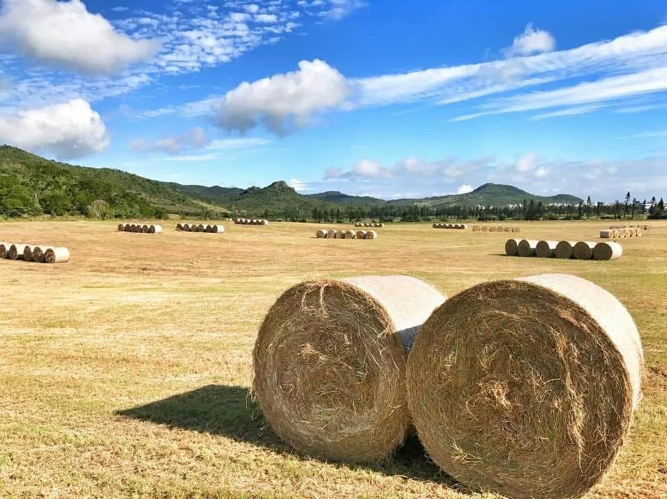 獨棟山水心旅棧 Bed & Breakfast Kenting Bagian luar foto